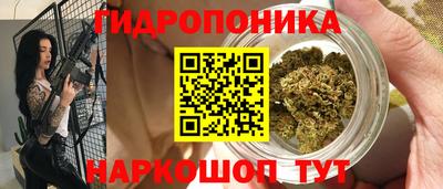 сатива Обь
