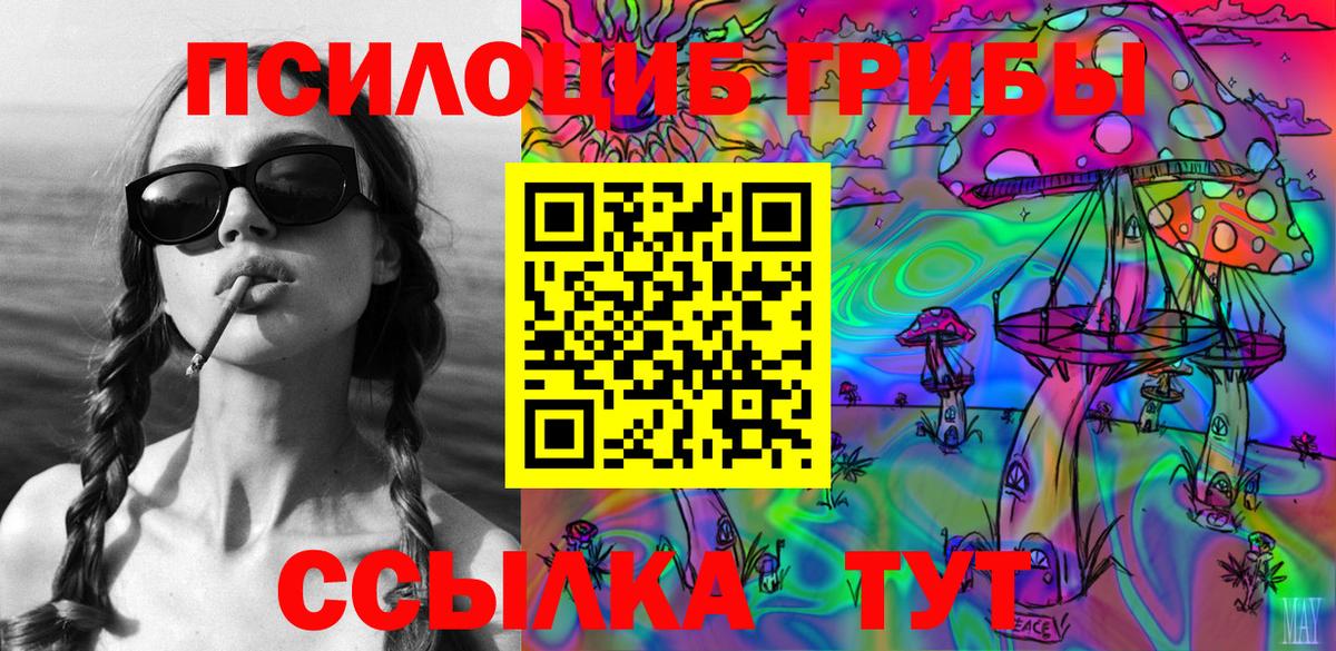 Галлюциногенные грибы Psilocybine cubensis Соликамск