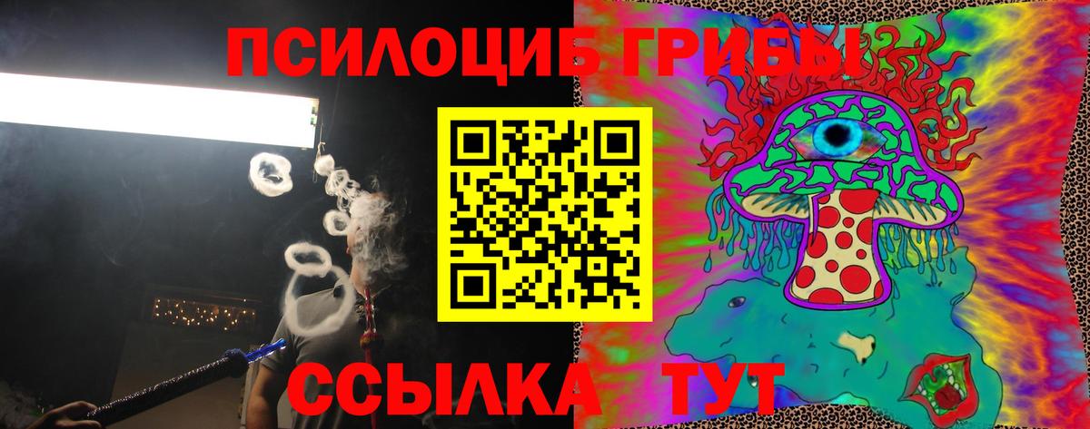 Псилоцибиновые грибы Psilocybe  Вход с VPN  Соликамск 